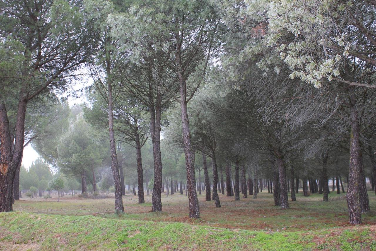 Las Gavias Matapozuelos Exterior foto