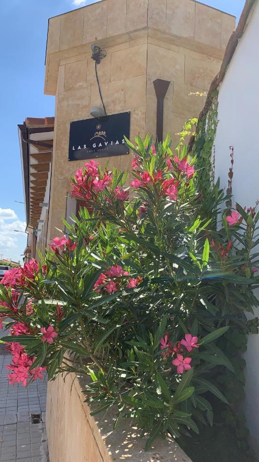 Las Gavias Matapozuelos Exterior foto
